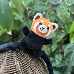 神戶動物王國| 小熊貓頭箍