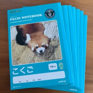 OKINA | 小熊貓B5練字習作簿